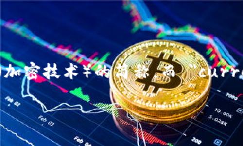 数字加密货币的英文翻译是 